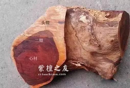 科普：小叶紫檀中的二膘料、泥料、犀角质、鸡血料都是什么？-2
