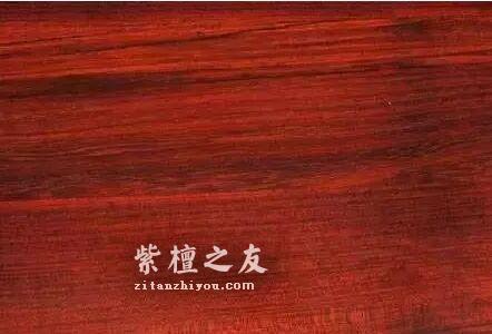 别被骗了！这四大木质最容易假冒小叶紫檀-10