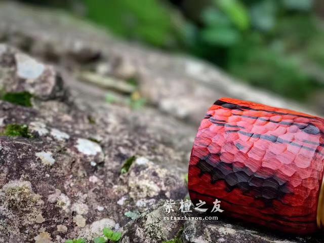 印度小叶紫檀，马蹄形茶叶罐，仙作-5