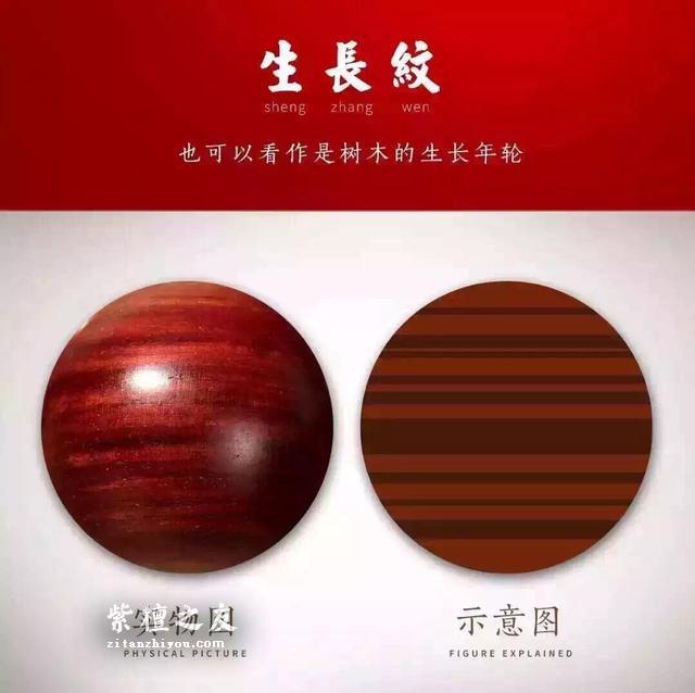何谓小叶紫檀的生长纹？-2