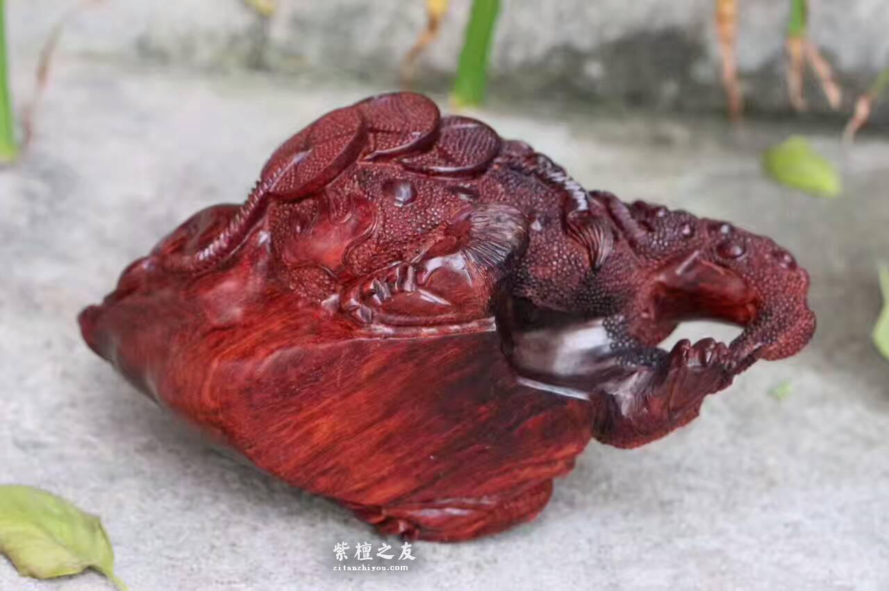 小叶紫檀茶壶《招财进宝》做工精美栩栩如生-6