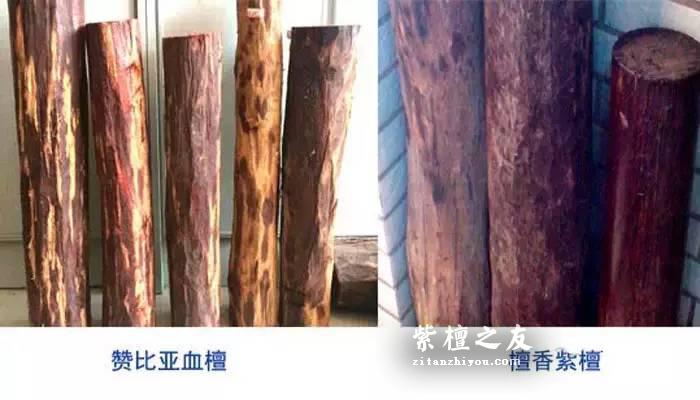 赞比亚血檀PK印度小叶紫檀 了解这些少上当-2