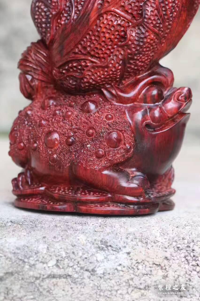 小叶紫檀工艺品《金蟾白菜》雕工精致财源滚滚-8