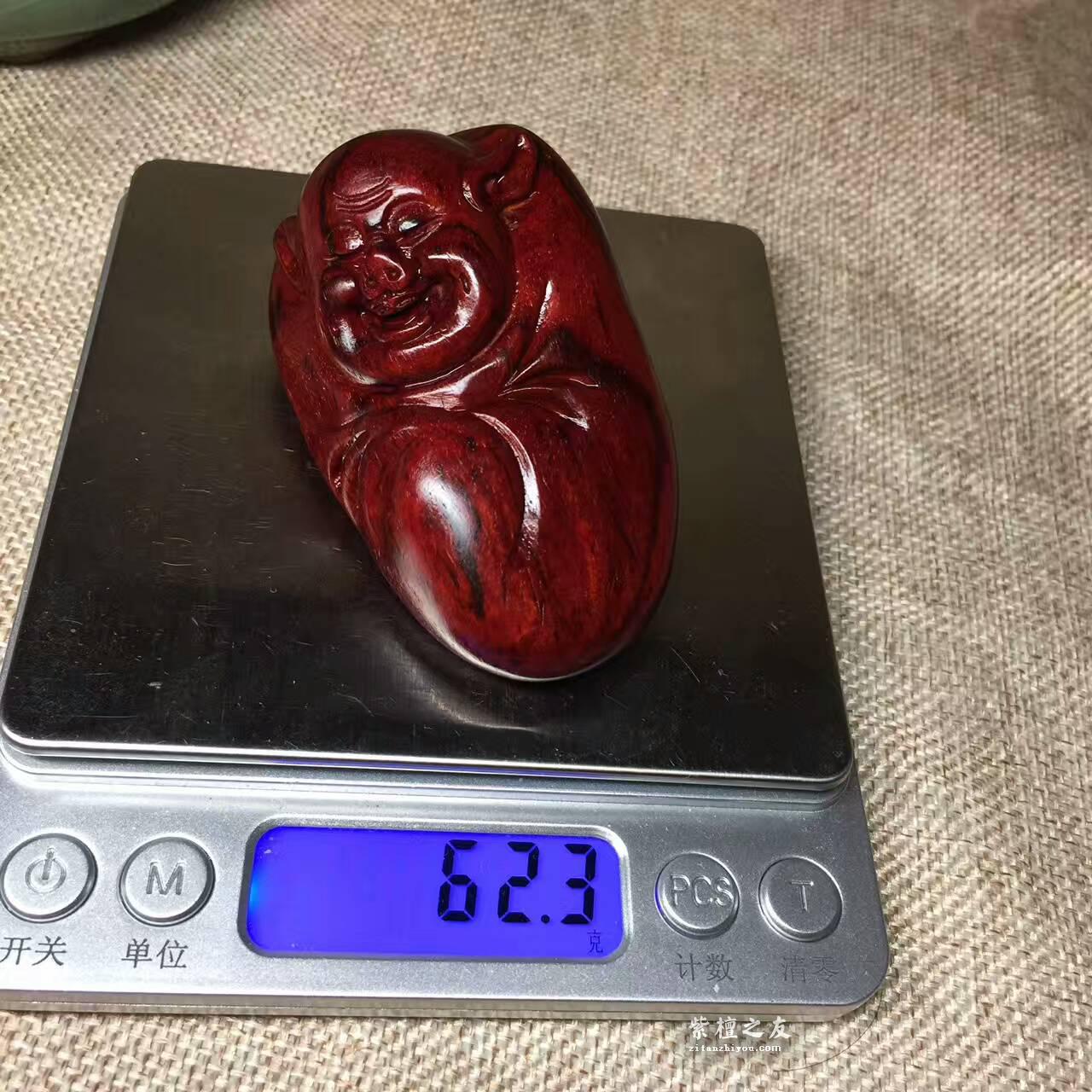 猪八戒手把件 小叶紫檀近泥料玻璃底-9