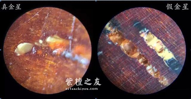 小叶紫檀鉴别图解——探究真假金星!-1