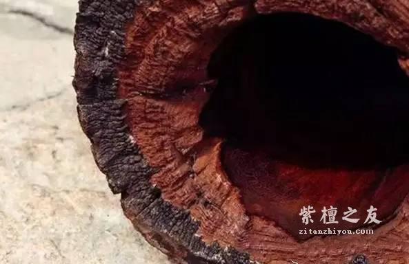 从古代建筑遗迹中拆下来的小紫叶檀剖开后竟然这么漂亮-5