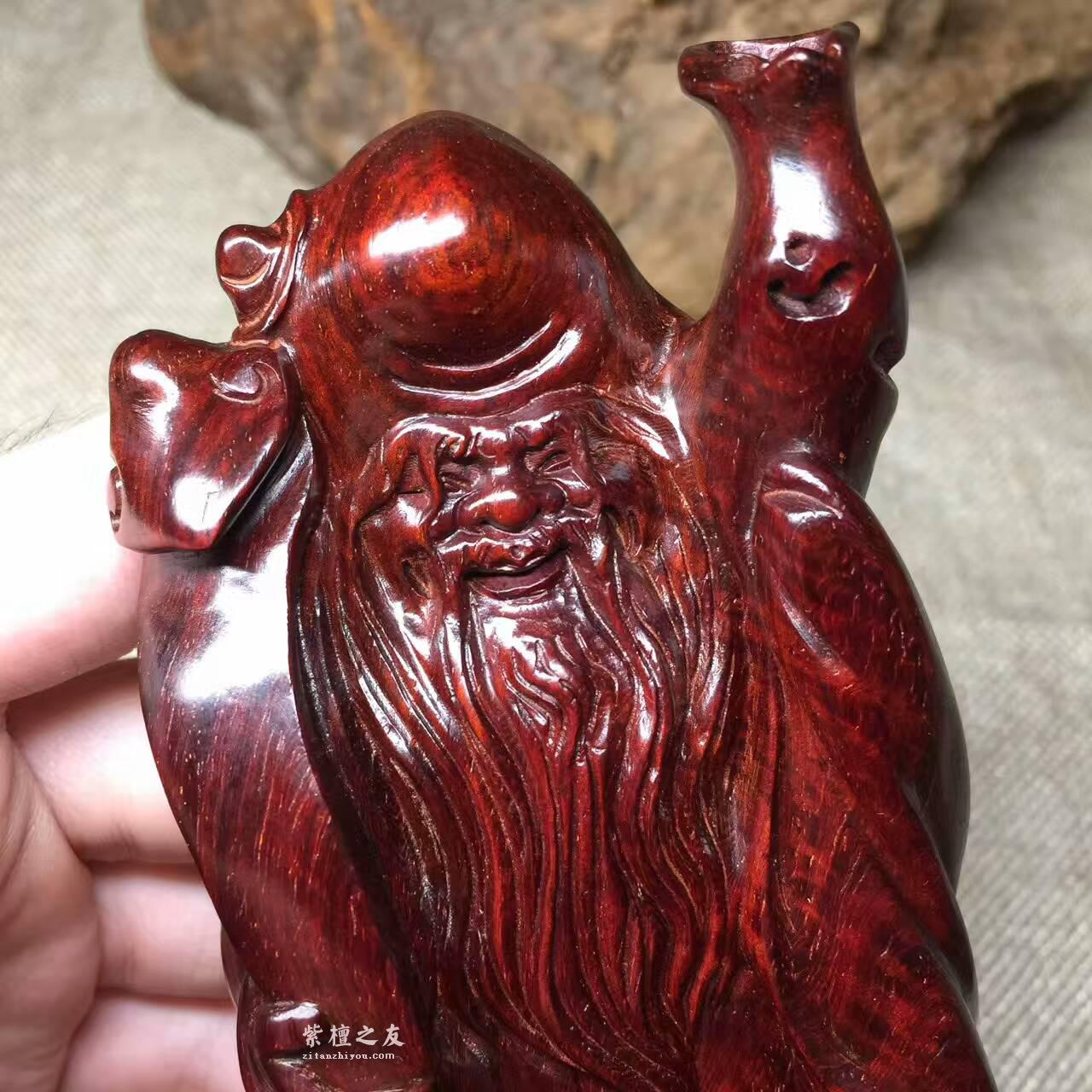 极品摆件《寿星》 小紫叶檀材质打造-5
