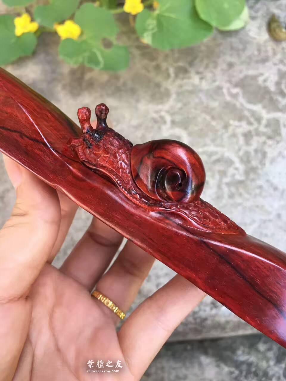 印度小叶紫檀工艺品把件《步步为营》造型独特泥料易包浆-1