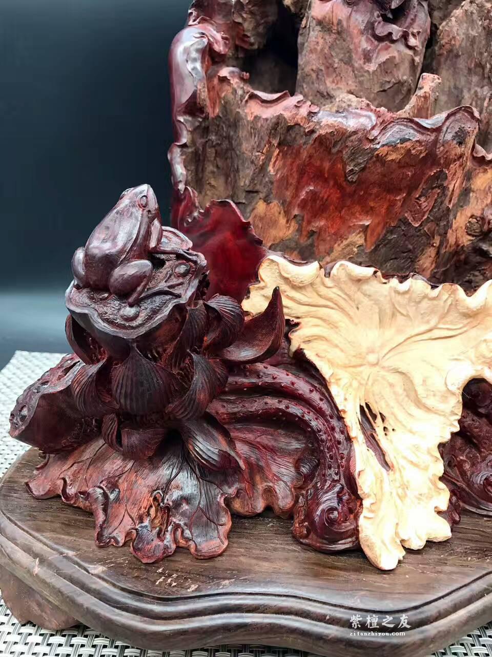 印度小叶紫檀《枯木生花》 风化百年枯木老料高密度金星带瘤树头-1