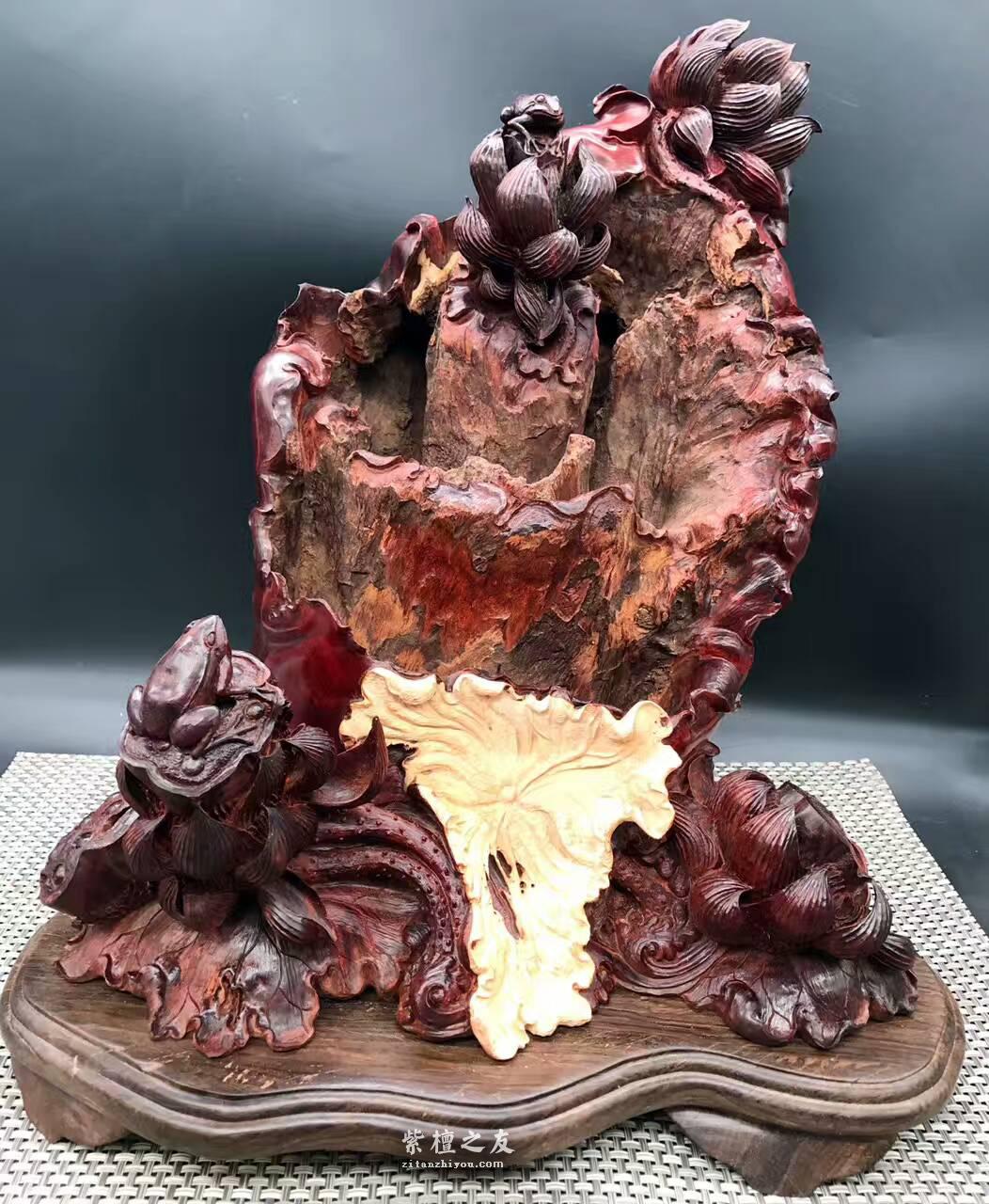 印度小叶紫檀《枯木生花》 风化百年枯木老料高密度金星带瘤树头-9
