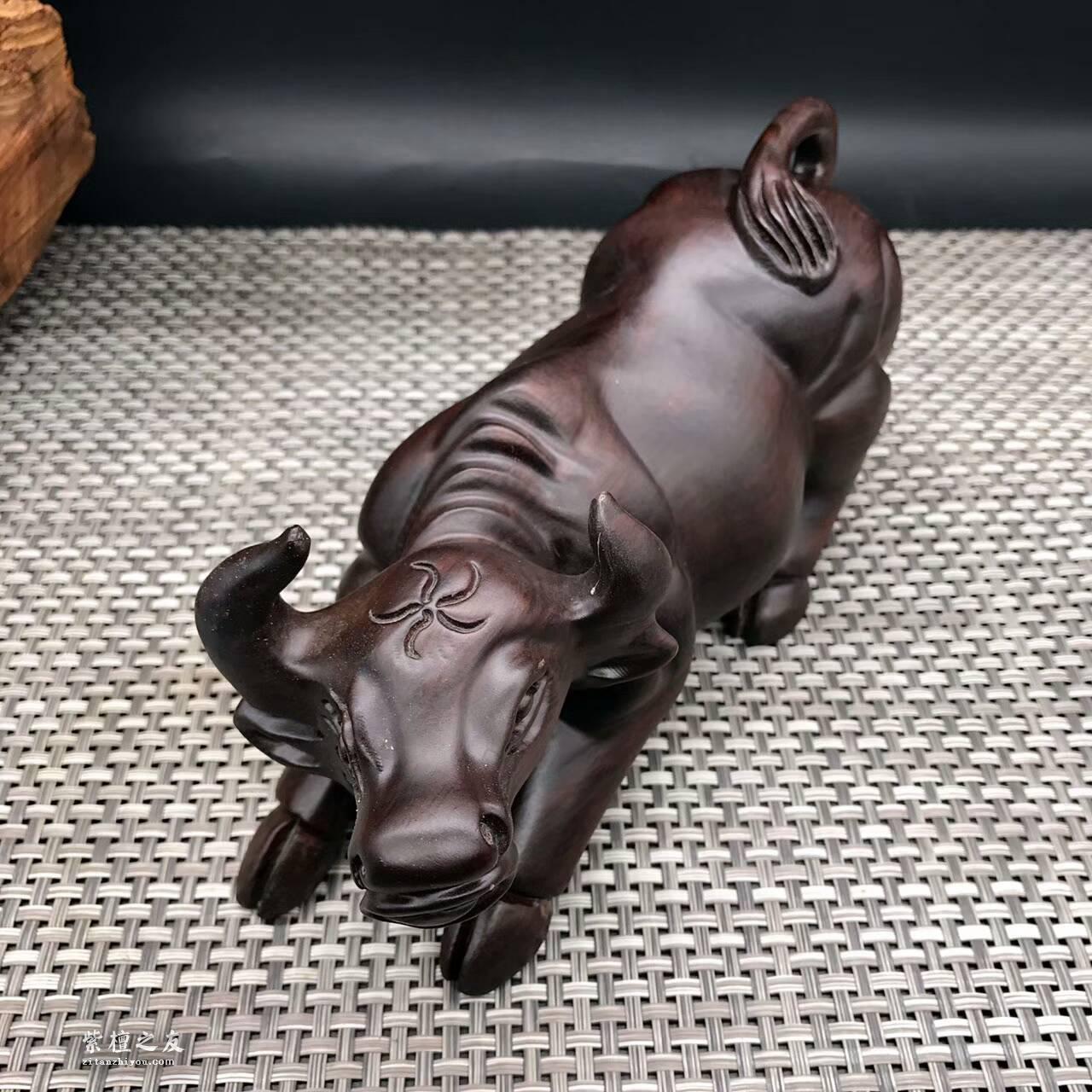 黑檀工艺品《牛气冲天》造型完美精致无暇-6
