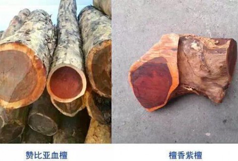 鉴定血檀和紫檀的8个小妙招