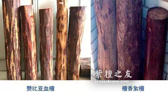 鉴定血檀和紫檀的8个小妙招-2