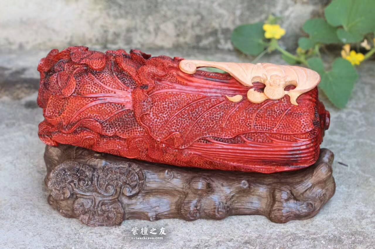 印度小叶紫檀工艺品《财富》鸡血红材料白皮巧雕寓意吉祥适合收藏-2