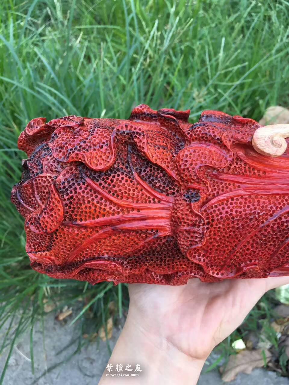 印度小叶紫檀工艺品《财富》鸡血红材料白皮巧雕寓意吉祥适合收藏-4