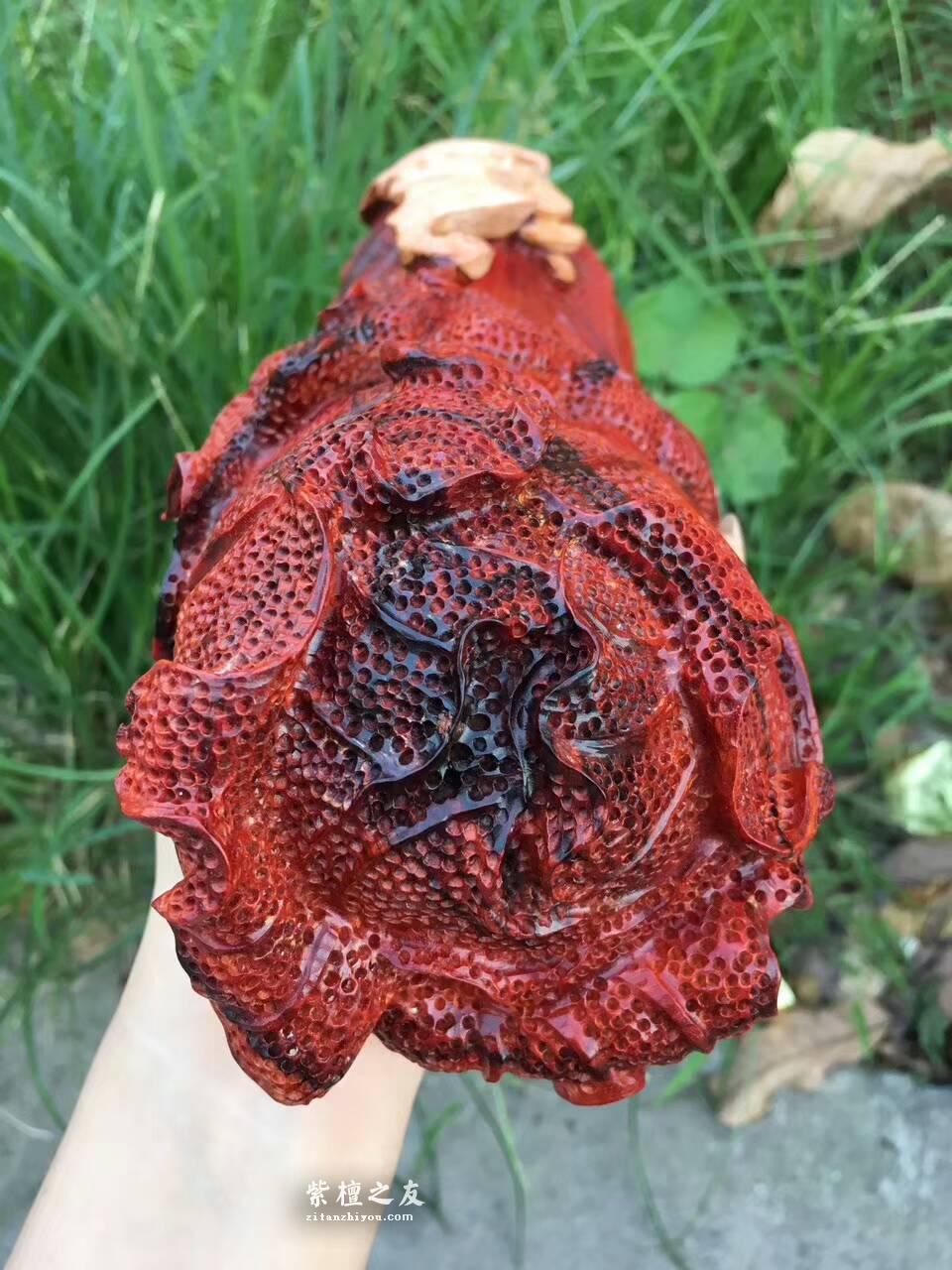 印度小叶紫檀工艺品《财富》鸡血红材料白皮巧雕寓意吉祥适合收藏-9