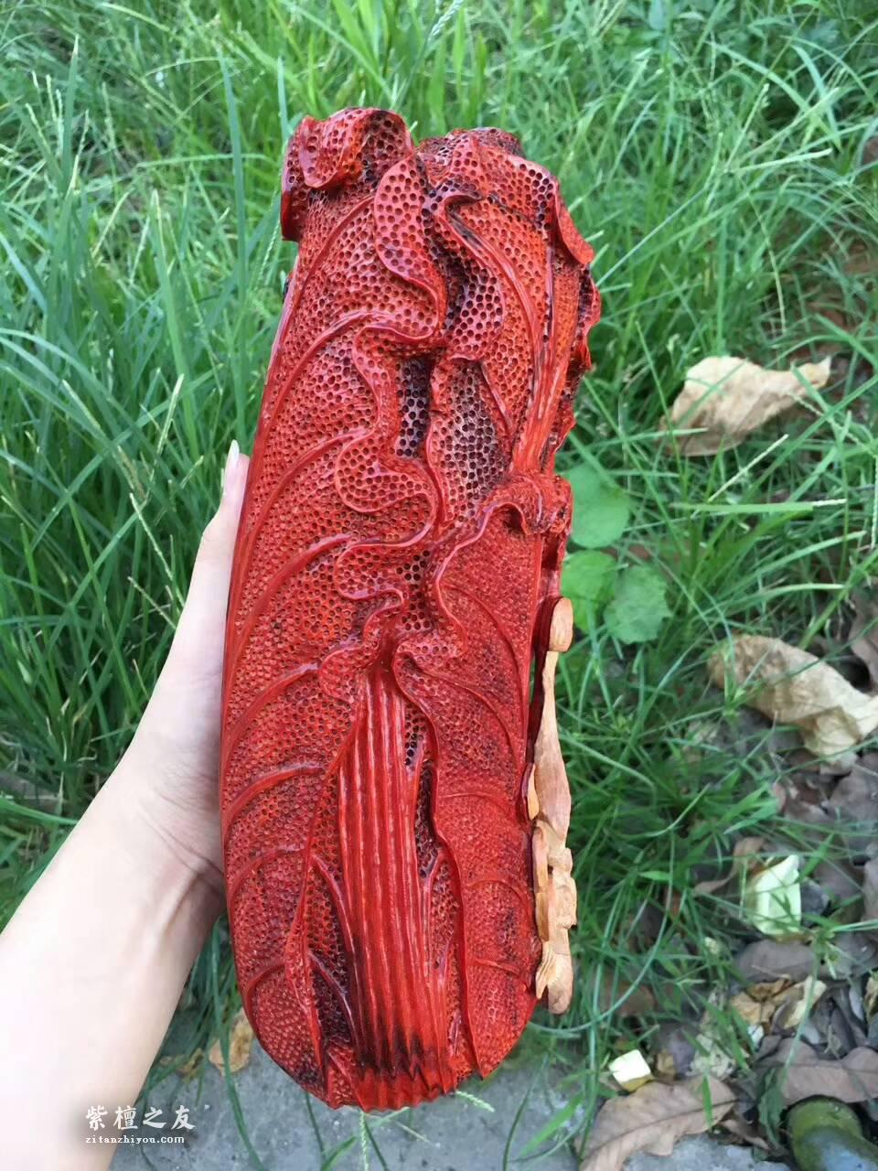 印度小叶紫檀工艺品《财富》鸡血红材料白皮巧雕寓意吉祥适合收藏-7
