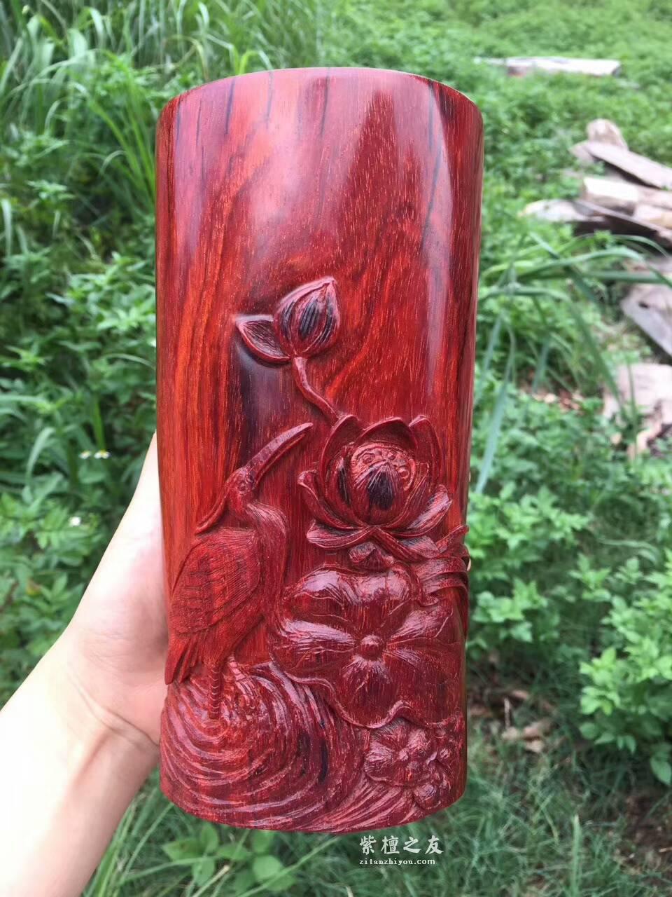 小叶紫檀笔筒《一路连科》雕工精细独特寓意好-3