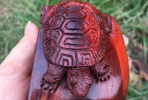 印度小紫叶檀手工雕刻工艺品《神龟》小巧可爱可当书桌摆件