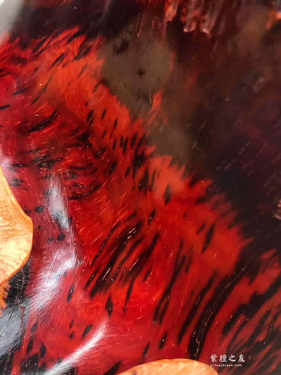 印度小叶紫檀根雕摆件《前程似锦》带白皮设计镂空雕刻栩栩如生-6