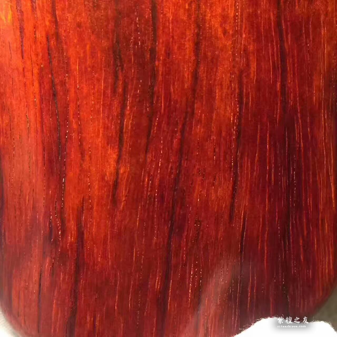 鸡血红泥料手把件《招财貔貅》材质上乘雕刻细腻随身携带-5