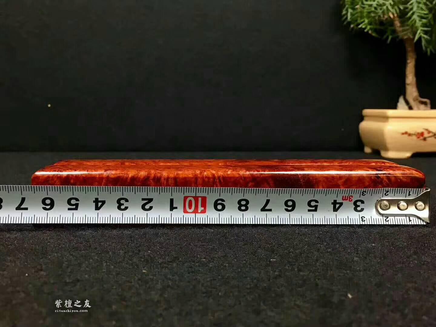 顶级印度小叶紫檀满瘤疤“镇尺”  360度爆满瘤疤 完美品相稀有珍品-7