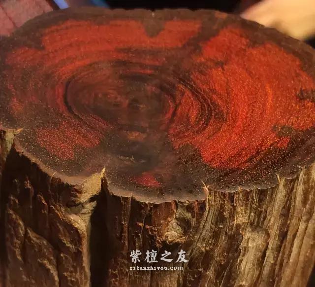 何谓紫檀“老料”？关于紫檀老料的详细介绍-6