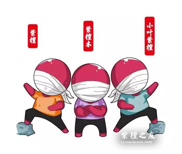 紫檀、紫檀木、小叶紫檀是一样的吗？-1