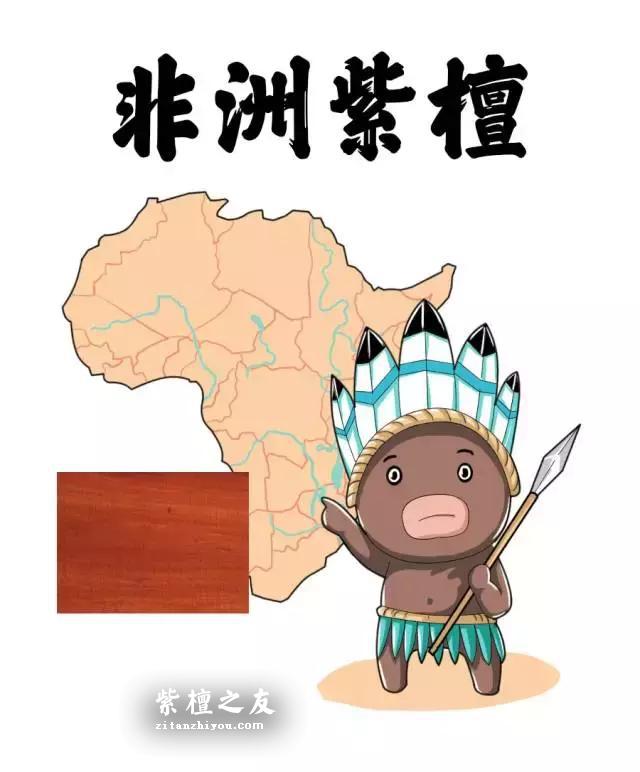 紫檀、紫檀木、小叶紫檀是一样的吗？-6