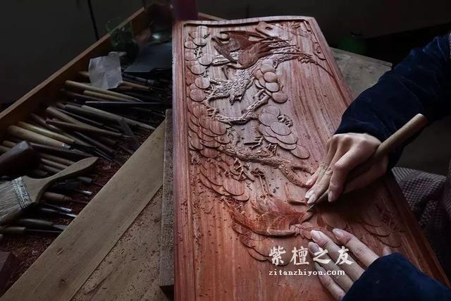 流血的檀木---这些濒危的血色交易-9