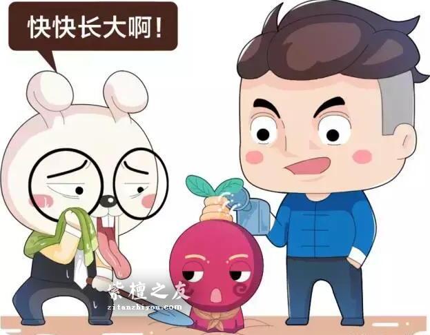 印度大规模种植紫檀人工林，小叶紫檀手串要降价了吗？-5