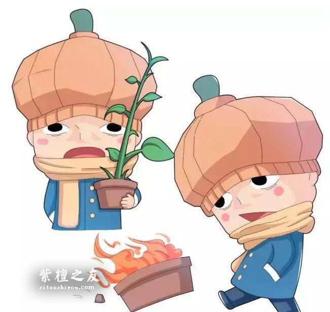 小叶紫檀手串冬季保养七大招，赶紧收藏！-3