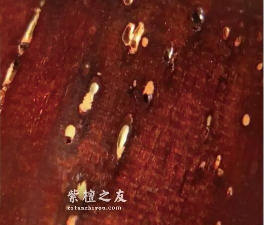 金星紫檀造假如此猖獗，我们要如何鉴别呢？-16