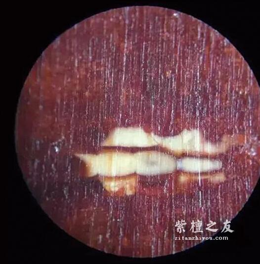 金星紫檀造假如此猖獗，我们要如何鉴别呢？-17