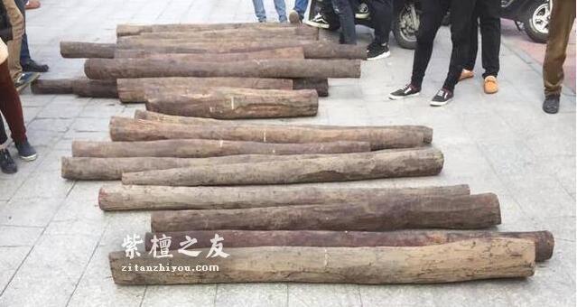 10种不同规格小叶紫檀原材交易行情-2