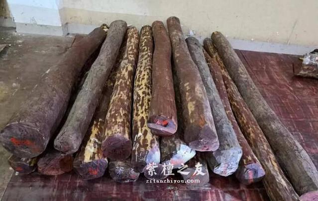 10种不同规格小叶紫檀原材交易行情-3