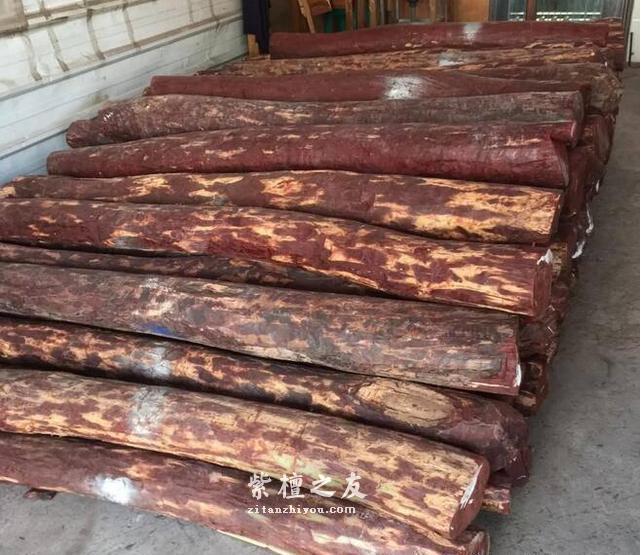 10种不同规格小叶紫檀原材交易行情-4