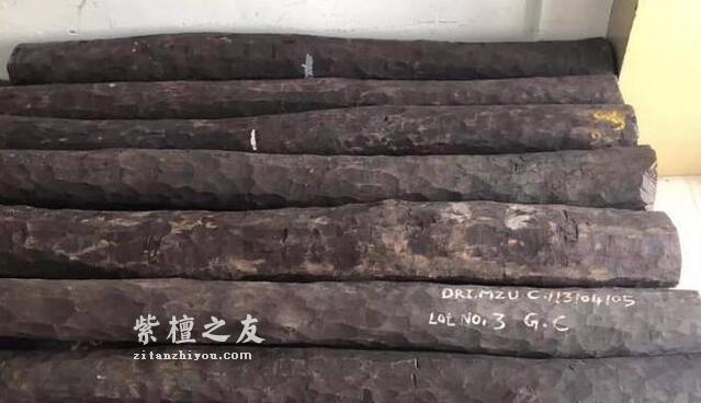 10种不同规格小叶紫檀原材交易行情-5