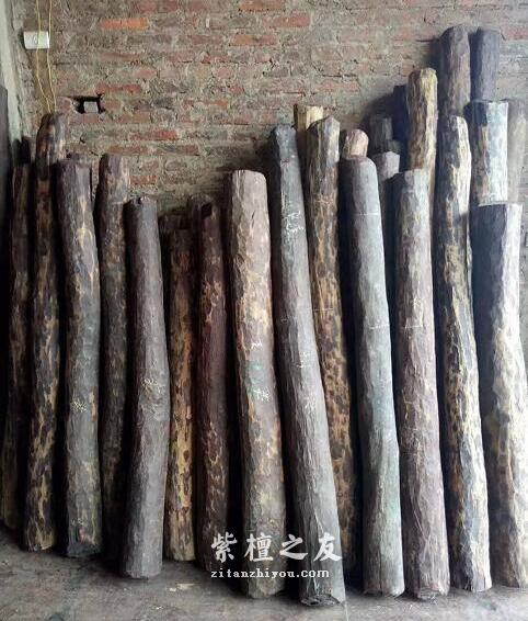 10种不同规格小叶紫檀原材交易行情-6