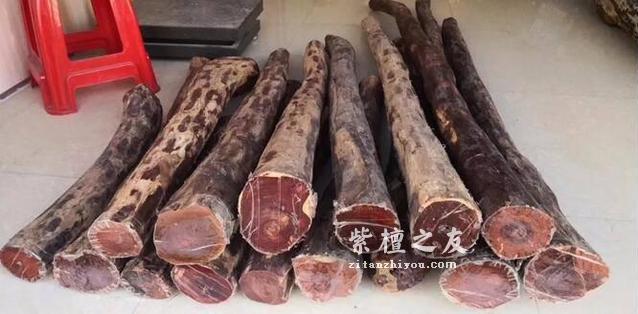 10种不同规格小叶紫檀原材交易行情-9