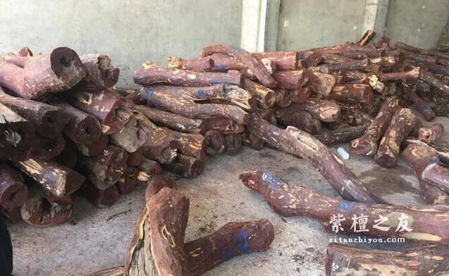 10种不同规格小叶紫檀原材交易行情-10