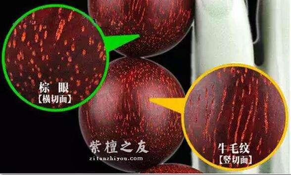 小叶紫檀初玩者应该了解的二三事-2