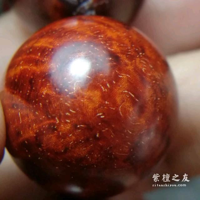 胶磨的小叶紫檀你分的出吗？-3
