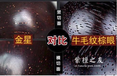 什么是金星紫檀 真假金星小叶紫檀手串的鉴别方法-2