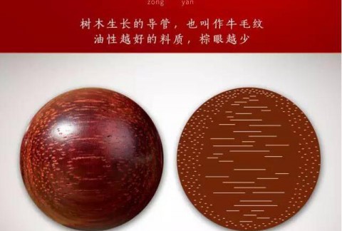 小叶紫檀必懂的各种名词