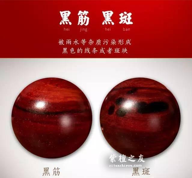 小叶紫檀必懂的各种名词-5