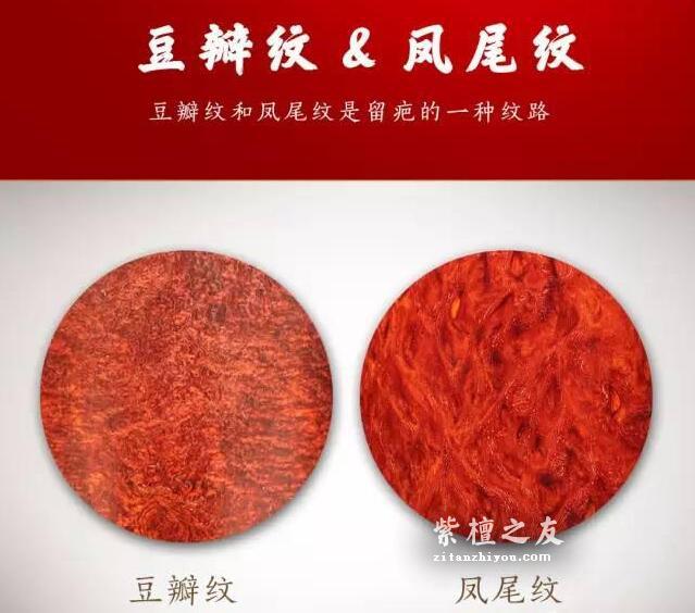 小叶紫檀必懂的各种名词-9
