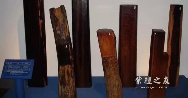 一根大叶檀，半本黑白道：大叶紫檀的江湖野史！-4