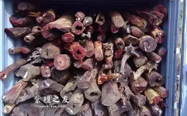 图文详解紫檀手串的制作过程-1