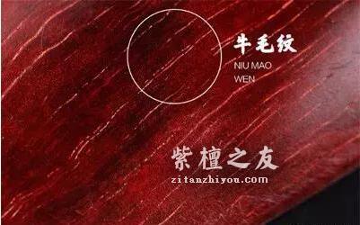 图文解说小叶紫檀之棕眼、金星、牛毛纹-4